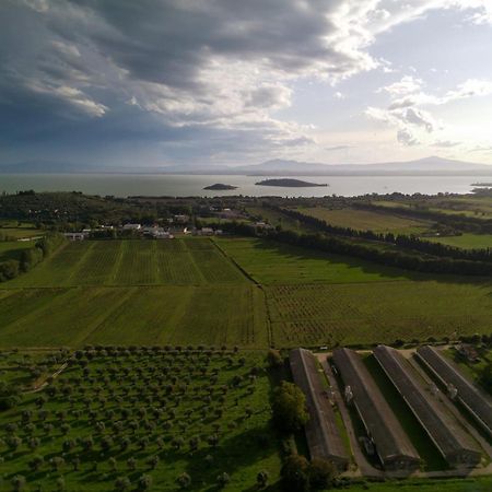 Tra Lago E Collina Passignano sul Trasimeno Eksteriør billede