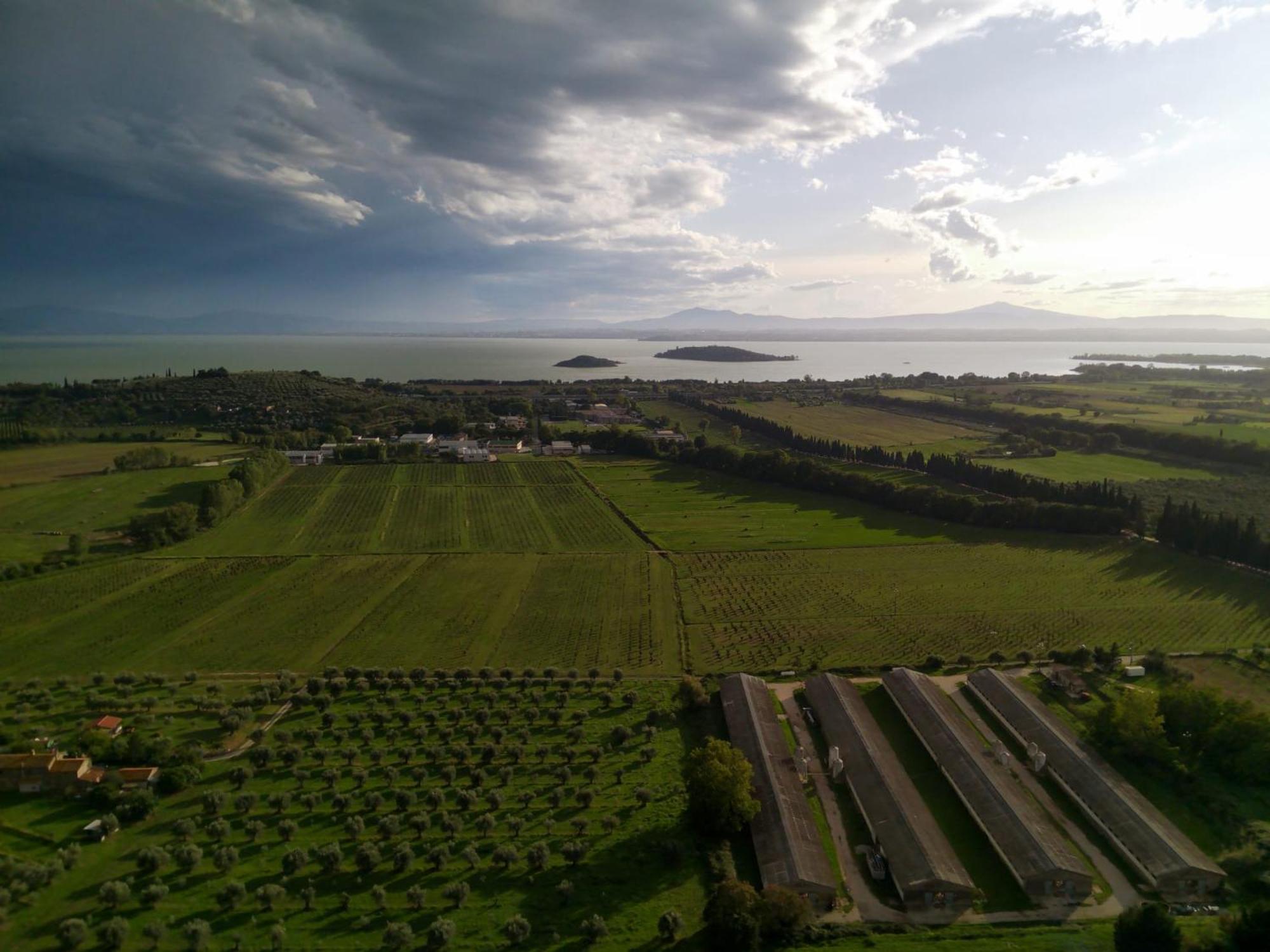 Tra Lago E Collina Passignano sul Trasimeno Eksteriør billede